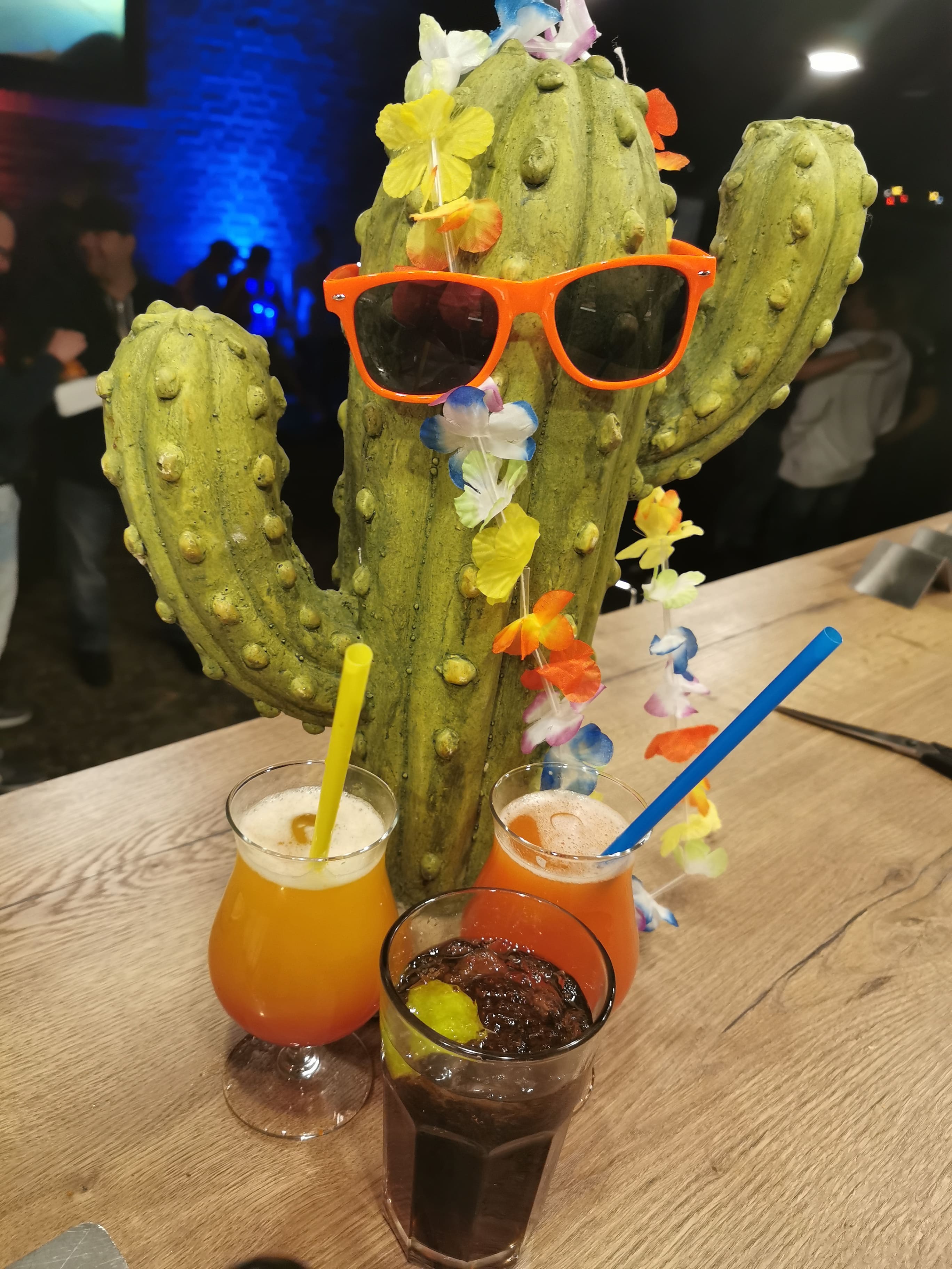 Galerie Bild